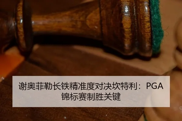 xie-ao-fei-lei-zhang-tie-jing-zhun-du-dui-jue-kan-te-li-jin-biao-sai-zhi-sheng-guan-jian-3-885.jpg
