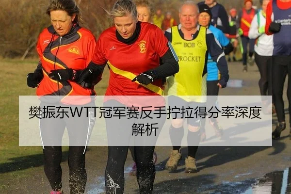 樊振东WTT冠军赛反手拧拉得分率深度解析